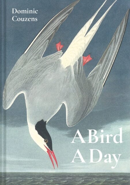 A Bird A Day by Dominic Couzens Extended Range Batsford Ltd