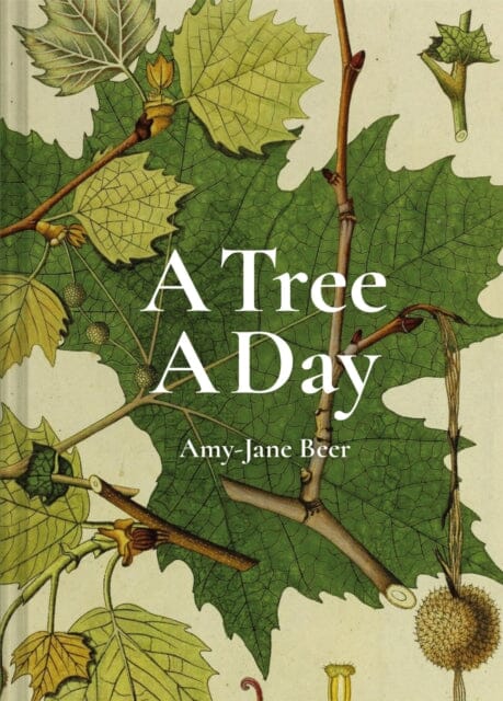 A Tree A Day by Amy-Jane Beer Extended Range Batsford Ltd