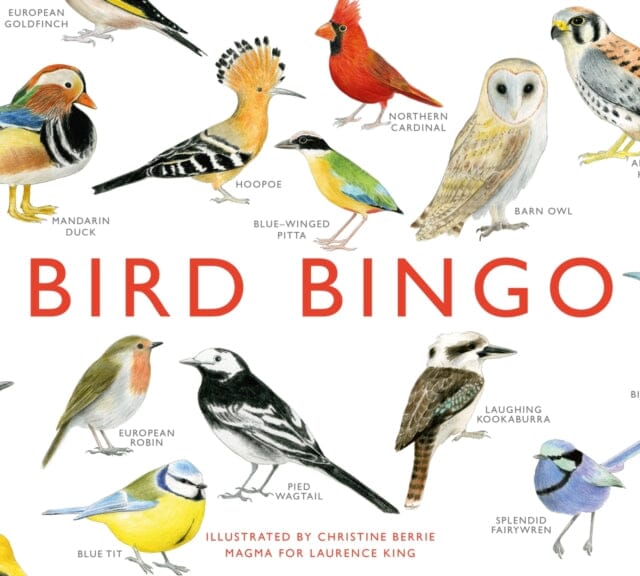 Bird Bingo by Christine Berrie Extended Range Orion Publishing Co