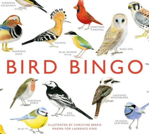 Bird Bingo by Christine Berrie Extended Range Orion Publishing Co