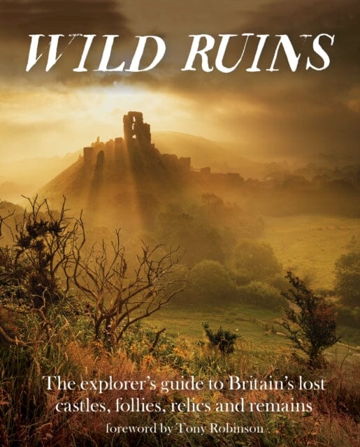 Wild Ruins: The Explorer's Guide to Britain Lost Castles, Follies, Relics and Remains by Dave Hamilton Extended Range Wild Things Publishing Ltd