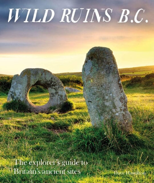 Wild Ruins BC by Dave Hamilton Extended Range Wild Things Publishing Ltd