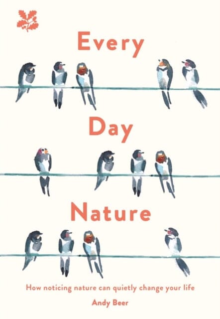 Every Day Nature: How Noticing Nature Can Quietly Change Your Life by Andy Beer Extended Range HarperCollins Publishers