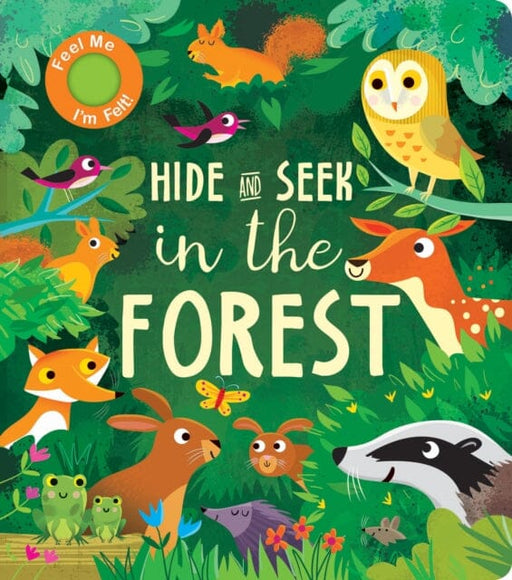 Hide and Seek In the Forest by Rachel Elliot Extended Range Little Tiger Press Group