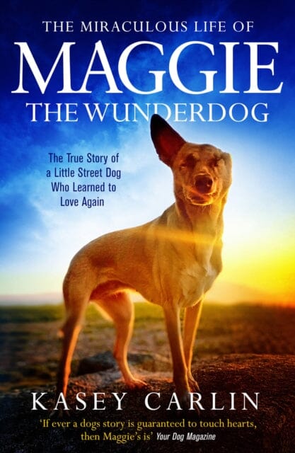 The Miraculous Life of Maggie the Wunderdog: The true story of a little street dog who learned to love again by Kasey Carlin Extended Range Mirror Books