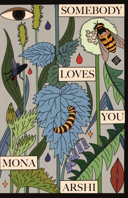 Somebody Loves You by Mona Arshi Extended Range And Other Stories