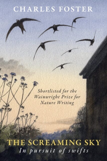 The Screaming Sky: in pursuit of swifts Extended Range Little Toller Books