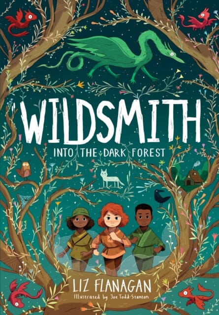 Into the Dark Forest : The Wildsmith #1 Extended Range UCLan Publishing