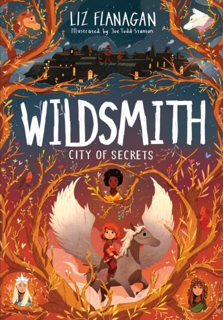 City of Secrets : The Wildsmith #2 by Liz Flanagan Extended Range UCLan Publishing