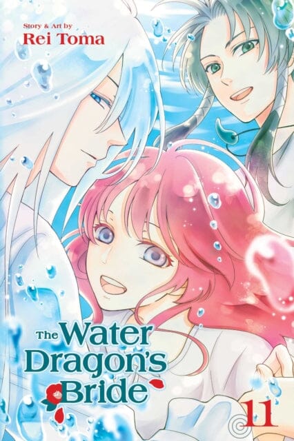 The Water Dragon's Bride, Vol. 11 by Rei Toma Extended Range Viz Media, Subs. of Shogakukan Inc