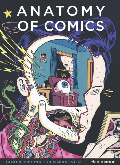 Anatomy of Comics : Famous Originals of Narrative Art by Damien MacDonald Extended Range Editions Flammarion