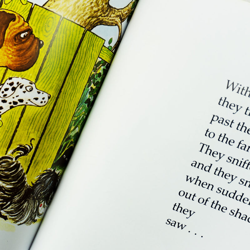 Hairy Maclary And Friends Collection By Lynley Dodd 10 Books Set - Age 3+- Paperback 0-5 Puffin