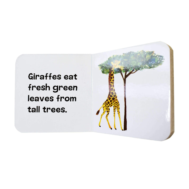 World of Eric Carle 12 Animal Books Collection Set By Pi Kids - Ages 0-5 - Board Book 0-5 Phoenix International Publications