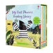 Usborne First Phonics Reading Library 20 Books - Ages 0-5 - Paperback 0-5 Usborne Publishing