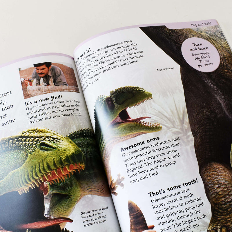 First Dinosaur Encyclopedia, A First Reference Book for Children By DK - Ages 5-7 - Paperback 5-7 DK Children