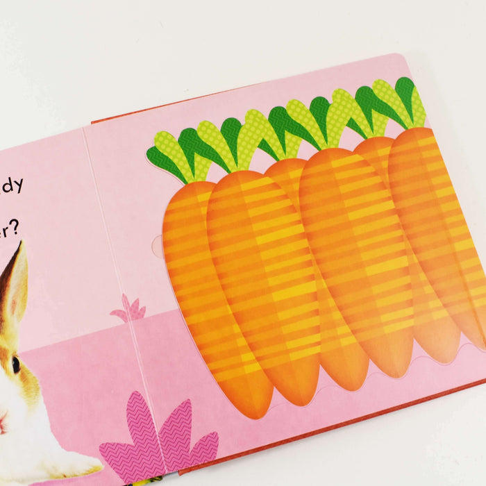 Hide and Seek 3 Books( Pets, Baby Animals & Puppies ) by DK - Ages 0-5 - Board Book 0-5 DK