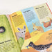Colours of the World 3 Books Set (Blue Planet, Red Planet & Green Planet) By Moira Butterfiels, Jonathan Woodward - Ages 0-5 - Hardback 0-5 Little Tiger