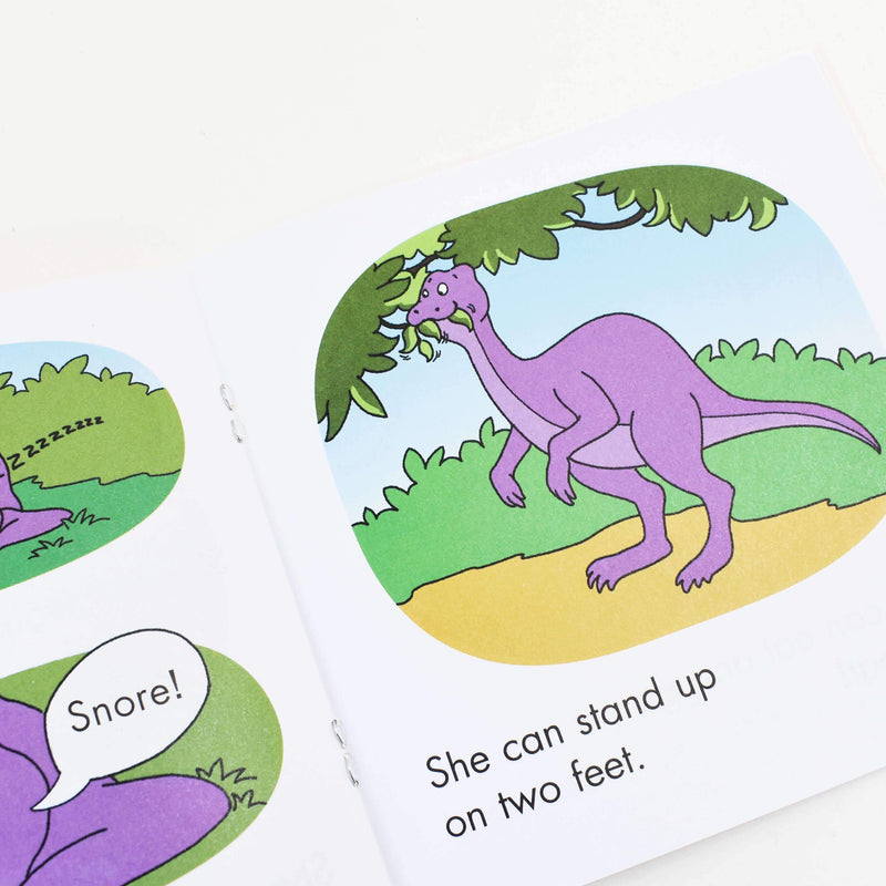 First Little Readers, Guided Reading Level D (Parent Pack) 25 Books By Liza Charlesworth - Ages 5-7 - Paperback 5-7 Scholastic