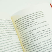 Serpent & Dove 2 Books Box Set By Shelby Mahurin - Young Adult - Paperback Young Adult Harper Teen