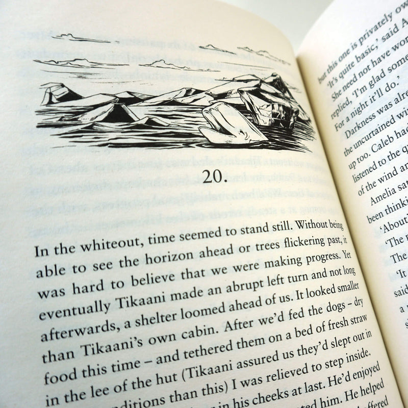 Jack Courtney Adventures Series 3 Books Collection Set by Wilbur Smith - Ages 9+ - Paperback 9-14 Piccadilly Press