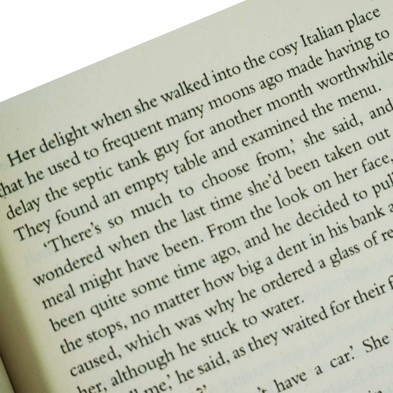 Tanglewood Village Series 3 Books Collection By Lilac Mills - Fiction - Paperback Fiction Canelo