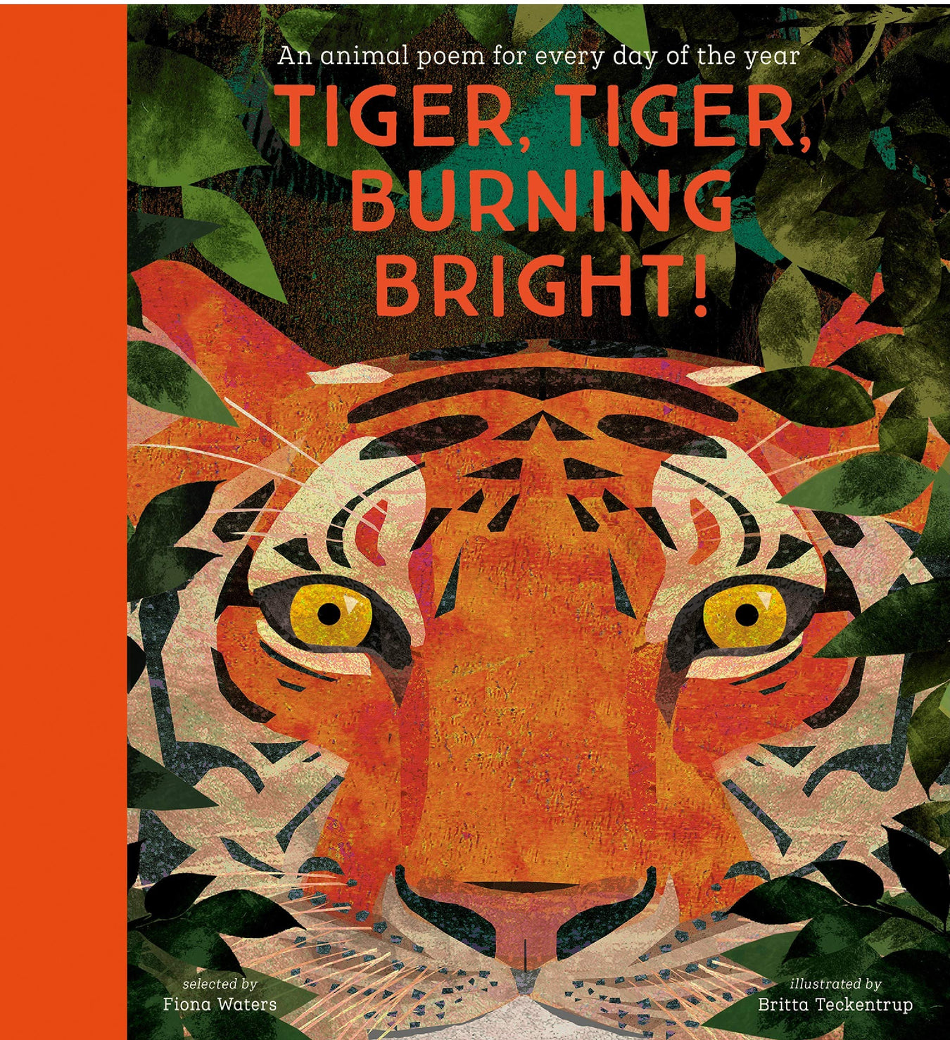 National Trust: Tiger, Tiger, Burning Bright! By Fiona Waters - Ages 4-11 - Hardback 5-7 Nosy Crow Ltd