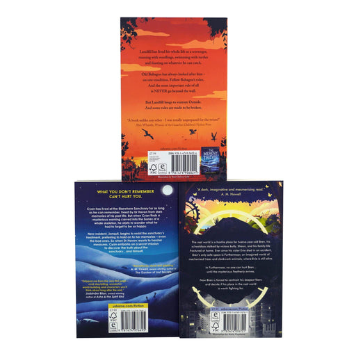 Darren Simpson Collection 3 Books Set - Ages 10-14 - Paperback 9-14 Usborne Publishing Ltd