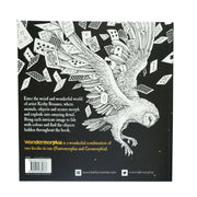 Wondermorphia By Kerby Rosanes: An Extreme Colouring and Search Challenge - Ages 13 years and up - Paperback Young Adult LOM ART