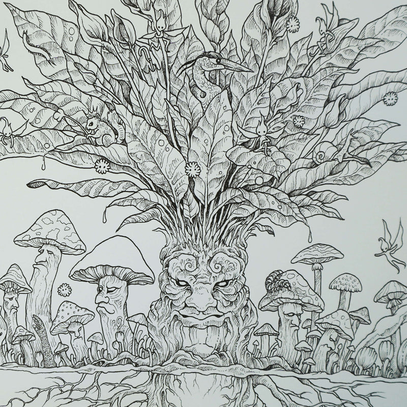 Wondermorphia By Kerby Rosanes: An Extreme Colouring and Search Challenge - Ages 13 years and up - Paperback Young Adult LOM ART