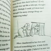The Children's Classics Collection 16 Books Set - Ages 6-10 - Paperback 7-9 Arcturus Publishing Ltd