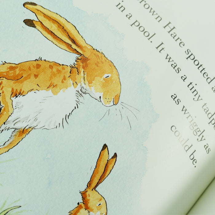 Guess How Much I Love You Series By Sam McBratney 4 Books Collection S