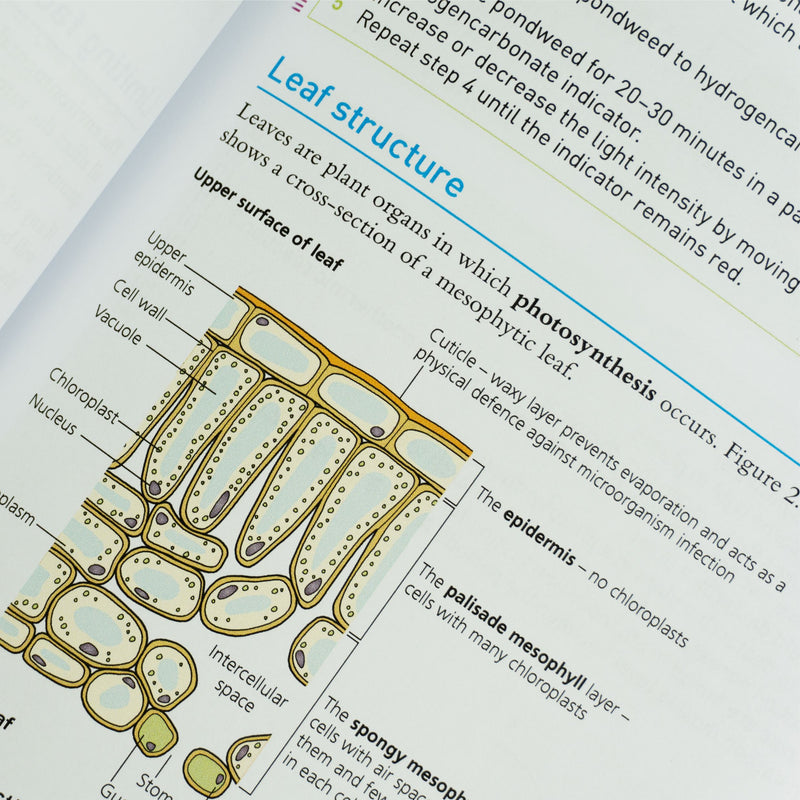 My Revision Notes: CCEA GCSE Biology, Chemistry & Physics 3 Books Collection Set - Ages 14-16 - Paperback Non-Fiction Hodder Education