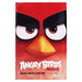 The Angry Birds Movie: The Junior Novel - Ages 8-12 - Paperback 9-14 Centum Books