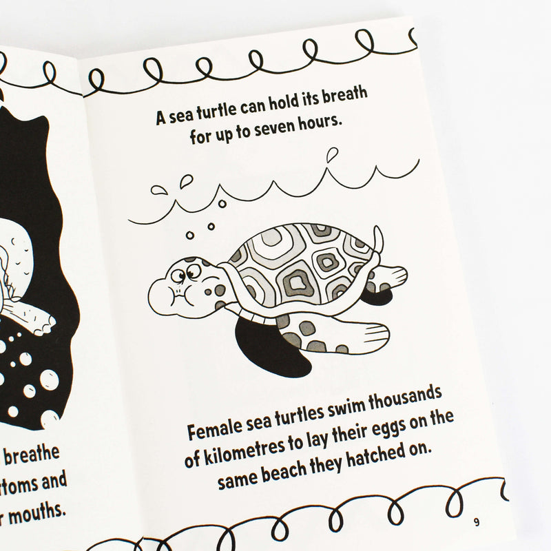 Amazing Facts Every Kid Needs to Know for 7 Year Olds Children's 3 Books Collection Set - Paperback 7-9 HarperCollins Publishers/Red Shed