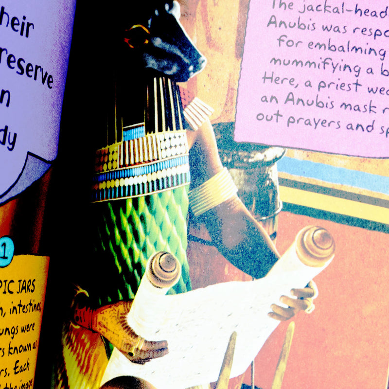 Cool facts and projects 8 Books Collection Set - Ages 7+ - Paperback 7-9 Miles Kelly Publishing Ltd