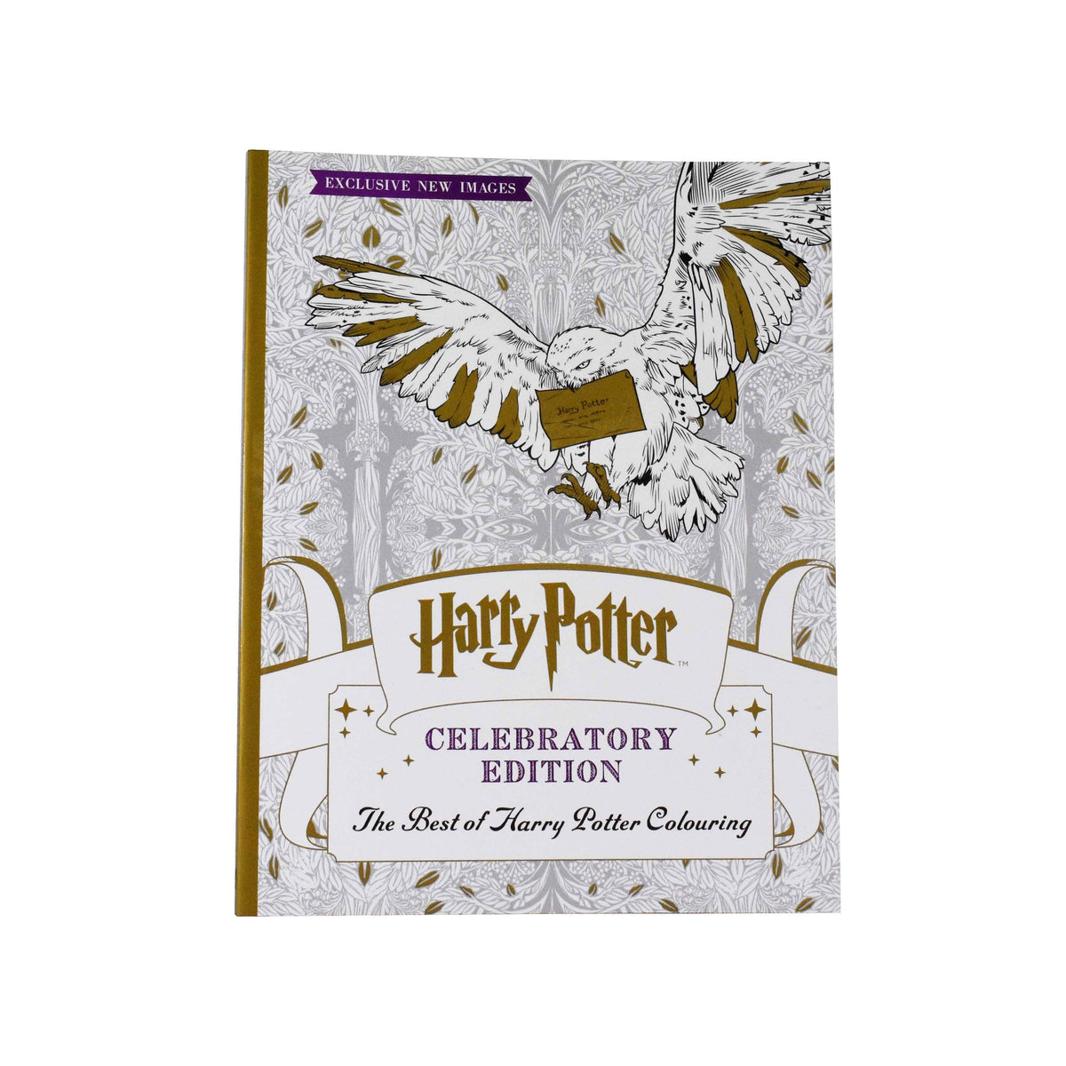 Harry Potter Coloring Book Set 2 Books Cards Colored Pencils Magical  Creatures