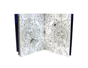 Advanced Art 4 Colouring Books Collection - Flowers, Tree, Dragons, Mehndi - Hardback - David Stewart Book House