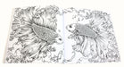 Animorphia Imagimorphia and Mythomorphia 3 Extreme Colouring Books - Paperback - Kerby Rosanes LOM Arts