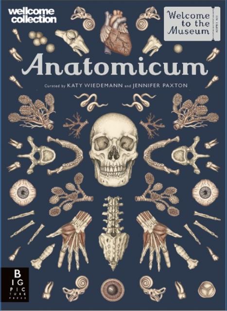 Anatomicum Popular Titles Templar Publishing