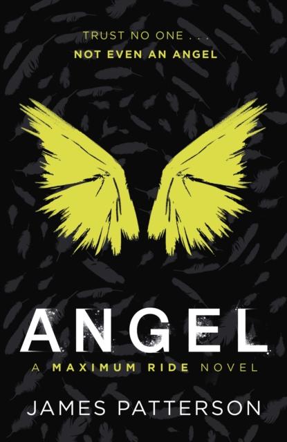 Angel: A Maximum Ride Novel : (Maximum Ride 7) Popular Titles Cornerstone