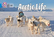 Arctic Life : Band 04/Blue Popular Titles HarperCollins Publishers