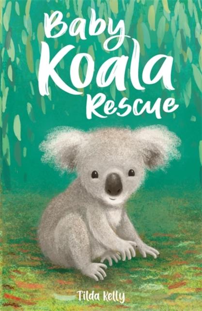Baby Koala Rescue Popular Titles Hachette Children's Group