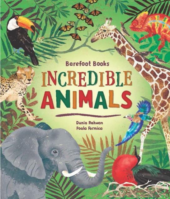 Barefoot Books Incredible Animals Popular Titles Barefoot Books Ltd