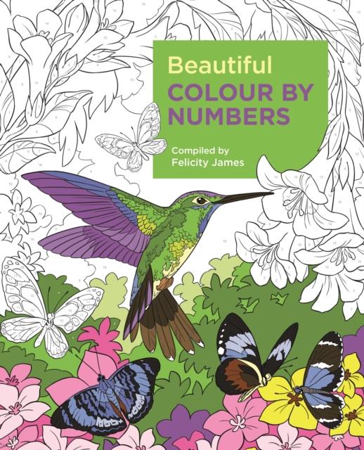 Beautiful Colour by Numbers Popular Titles Arcturus Publishing Ltd