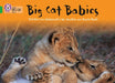 Big Cat Babies : Band 05/Green Popular Titles HarperCollins Publishers