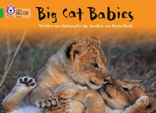 Big Cat Babies : Band 05/Green Popular Titles HarperCollins Publishers