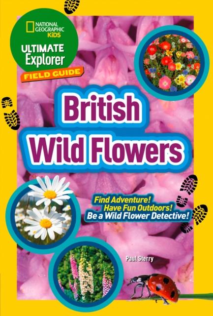 British Wild Flowers : Find Adventure! Have Fun Outdoors! be a Wild Flower Detective! Popular Titles HarperCollins Publishers