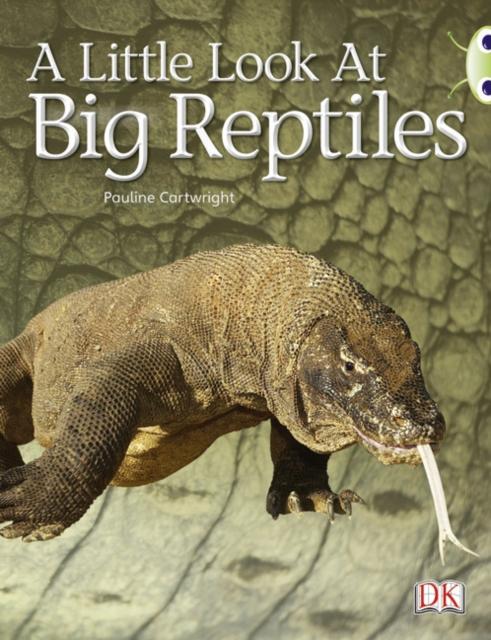 Bug Club Guided Non Fiction Year 1 Blue B A Little Look at Big Reptiles Popular Titles Pearson Education Limited