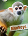 Bug Club Guided Non Fiction Year 3 White A Monkeys Popular Titles Pearson Education Limited
