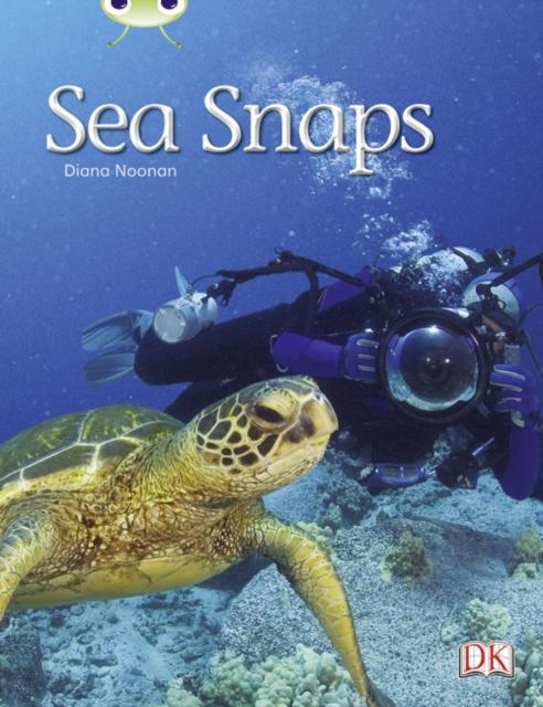Bug Club Independent Non Fiction Year 1 Green A Sea Snaps Popular Titles Pearson Education Limited